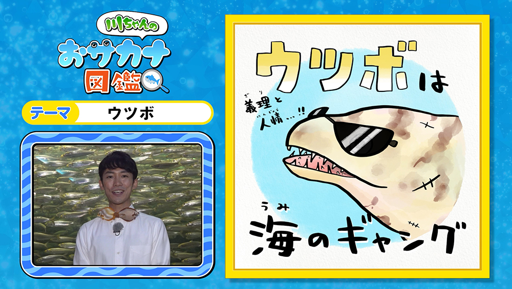 魚って眠るの?